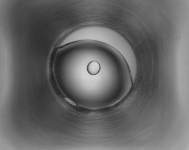 X0000113550252200909251044