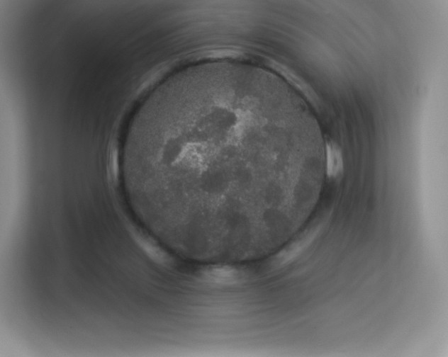 X0000113550253200909251044