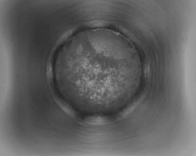 X0000113550254200909251044