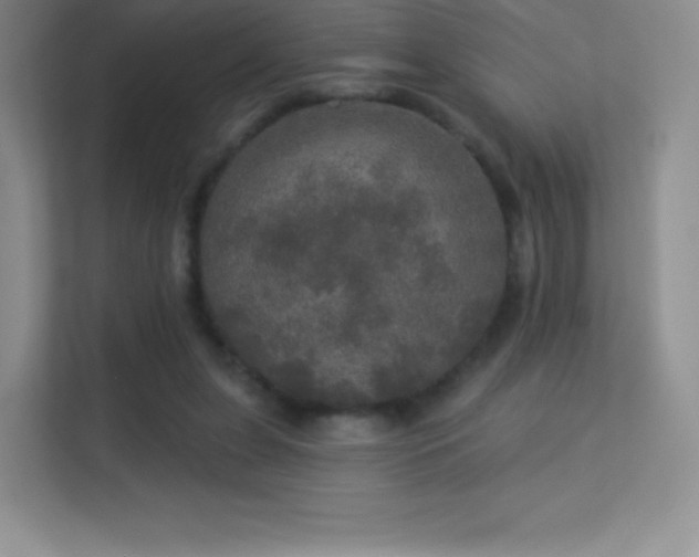 X0000113550255200909251044