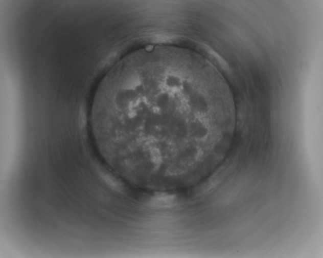 X0000113550257200909251044