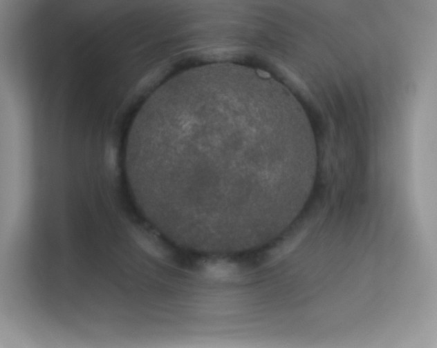 X0000113550258200909251044