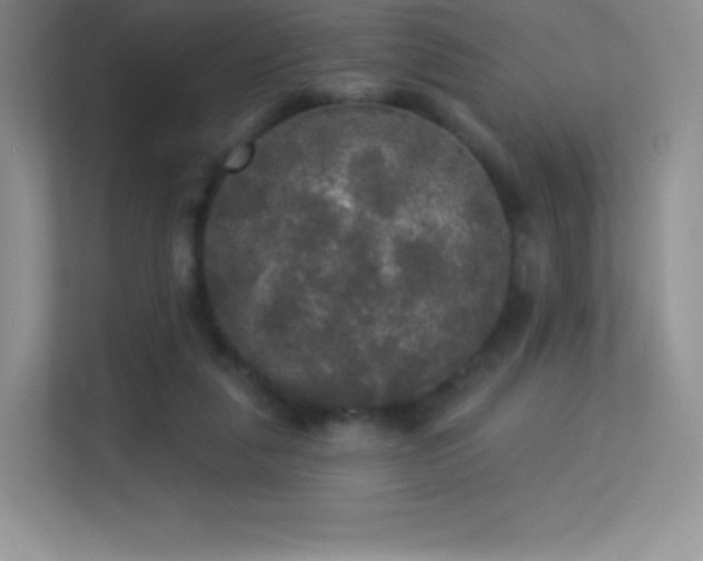 X0000113550259200909251044