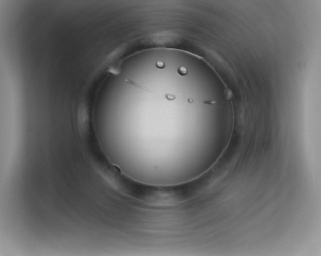 X0000113550260200909251044