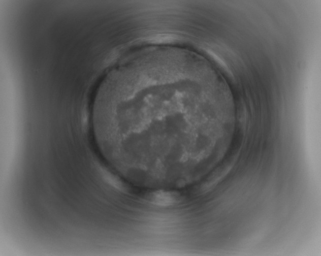 X0000113550261200909251044