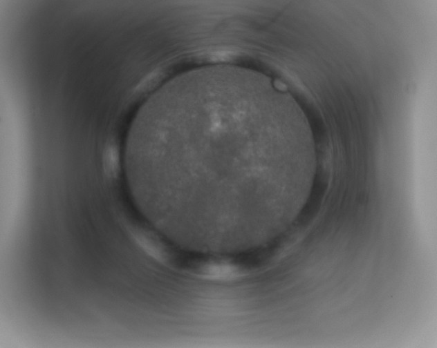 X0000113550262200909251044