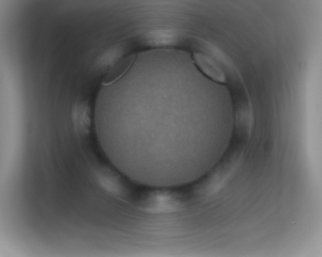 X0000113550264200909251044