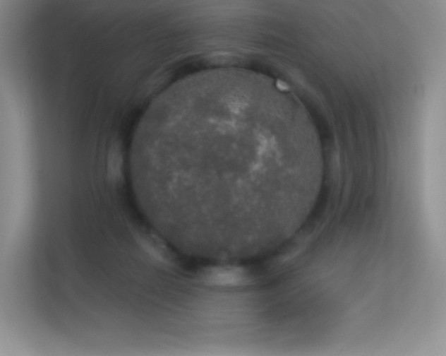 X0000113550266200909251044