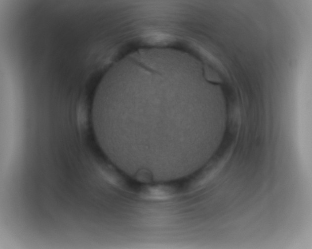 X0000113550268200909251044