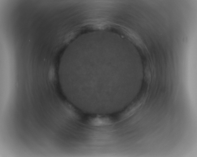 X0000113550270200909251044