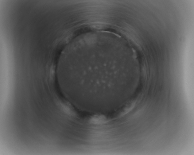 X0000113550271200909251044