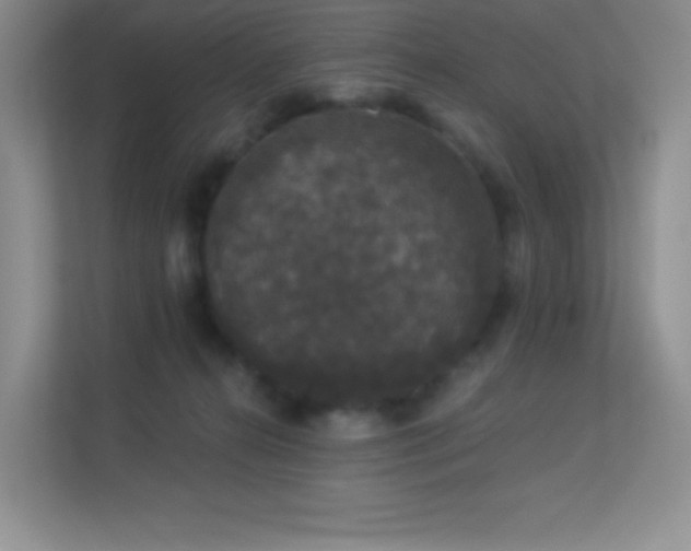 X0000113550272200909251044