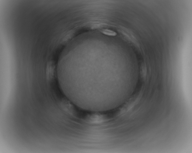 X0000113550276200909251044