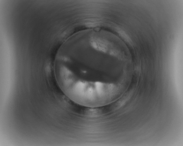 X0000113550277200909251044