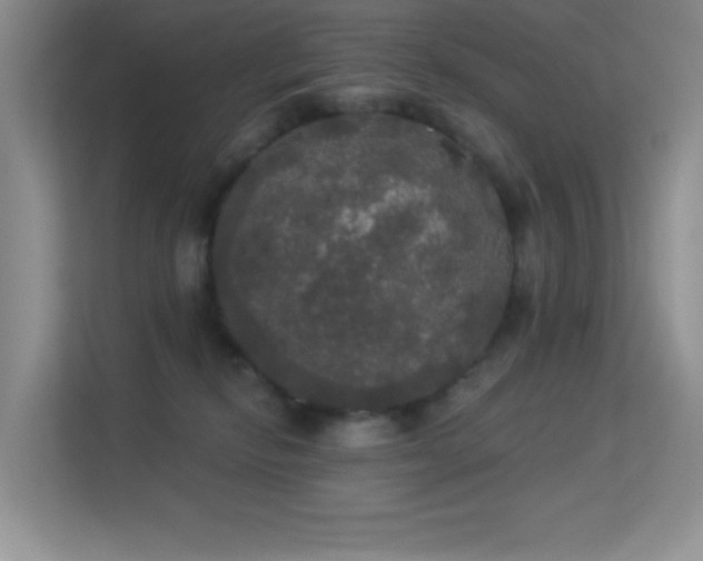 X0000113550278200909251044