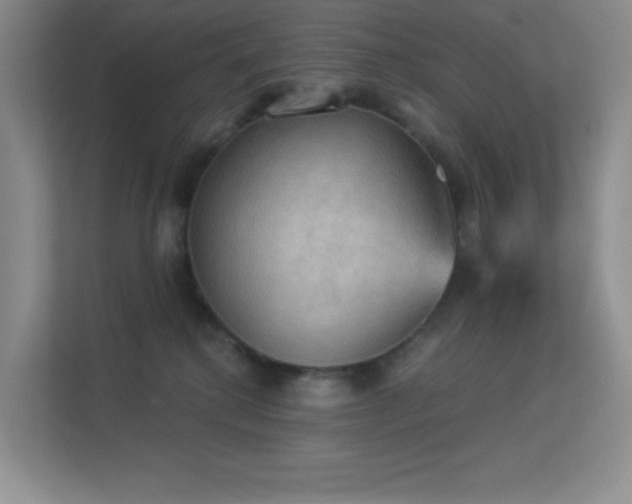 X0000113550280200909251044