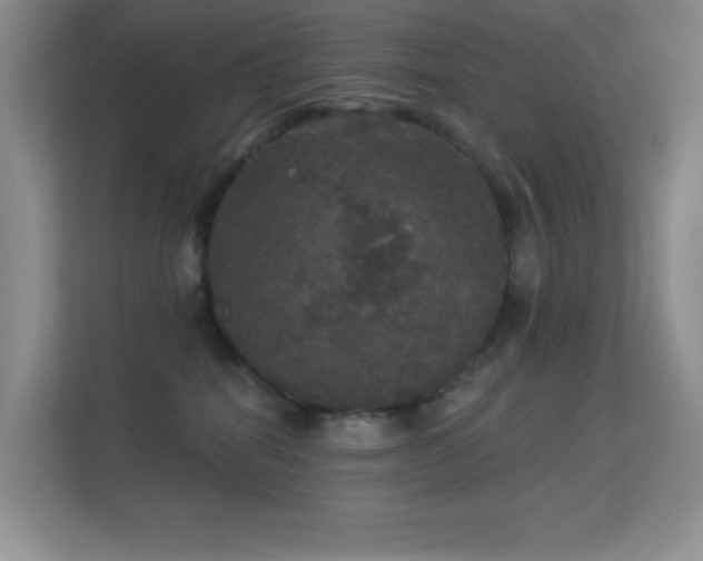 X0000113550282200909251044