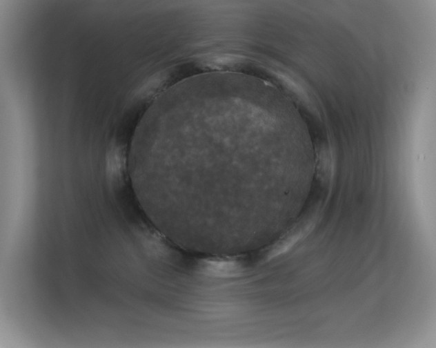 X0000113550284200909251044