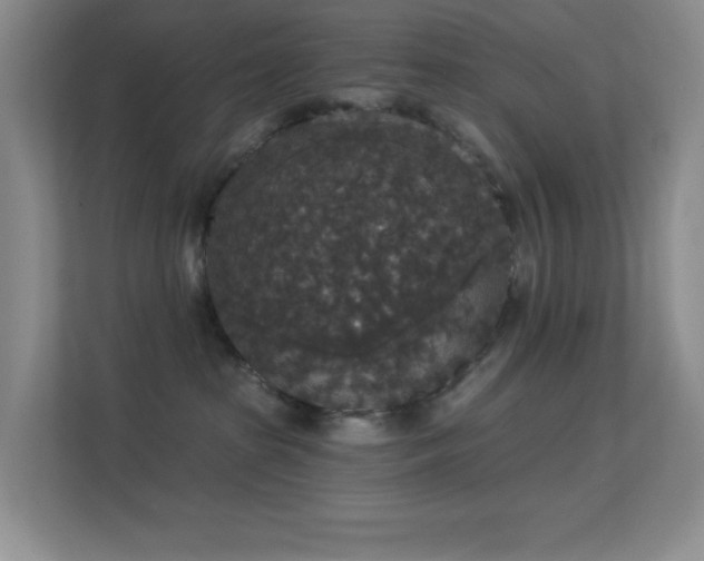 X0000113550285200909251044