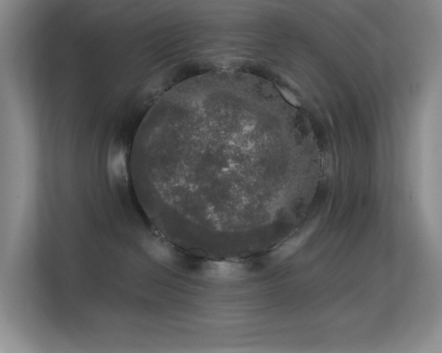 X0000113550286200909251044