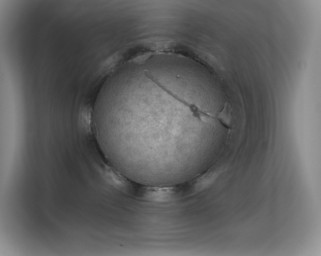 X0000113550288200909251044