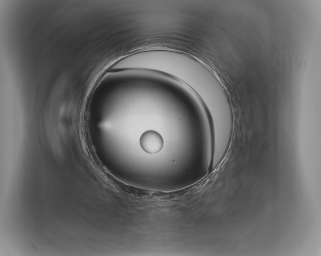 X0000113550289200909251044