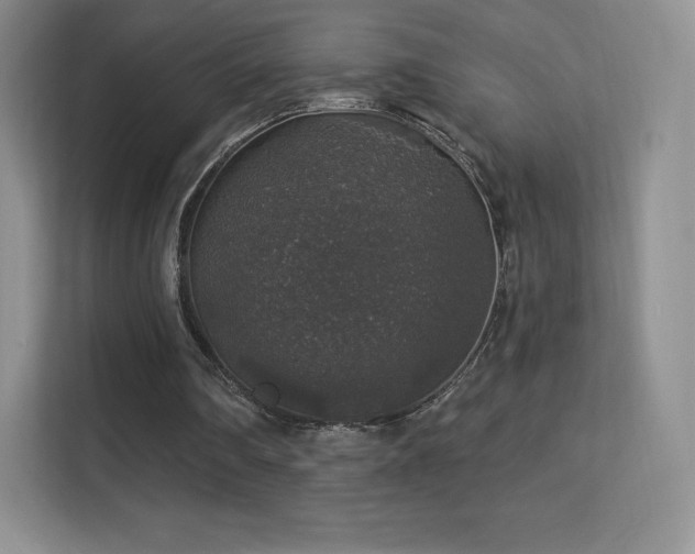 X0000113550290200909251044