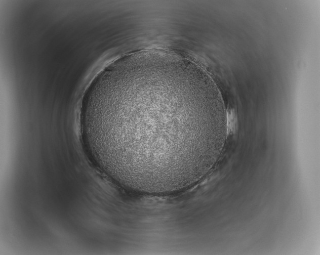 X0000113550291200909251044