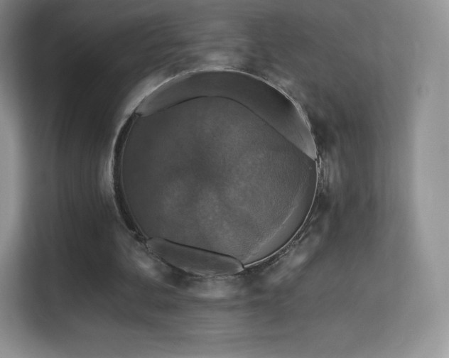 X0000113550292200909251043