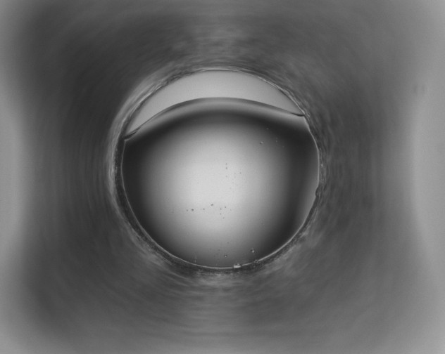 X0000113550293200909251043