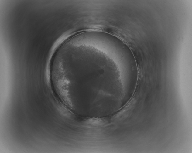 X0000113550294200909251043