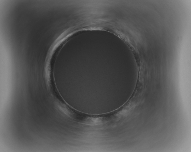 X0000113550295200909251043