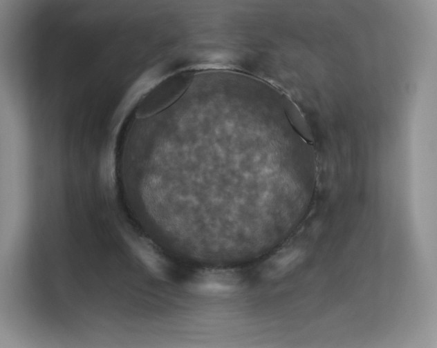 X0000113550296200909251043