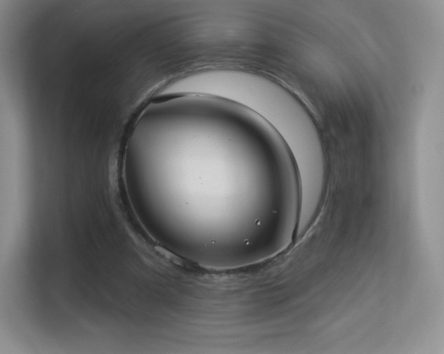 X0000113550297200909251043