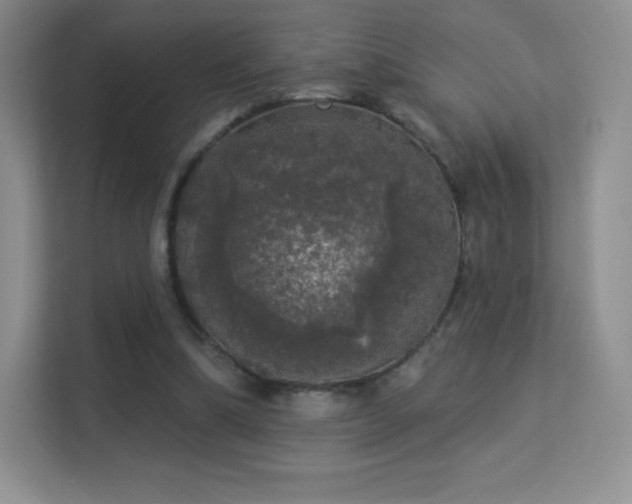 X0000113550298200909251043