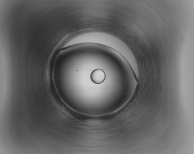 X0000113550300200909251043