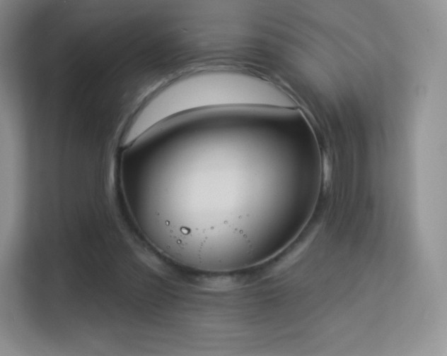 X0000113550301200909251043