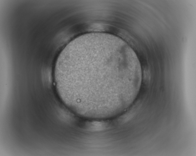 X0000113550302200909251043