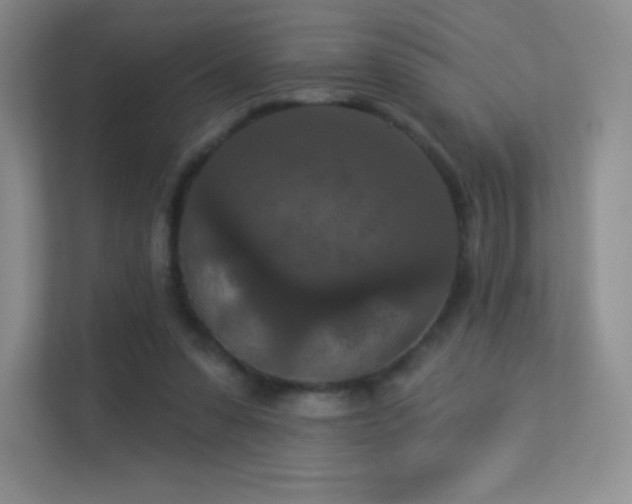 X0000113550303200909251043