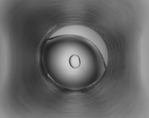 X0000113550304200909251043