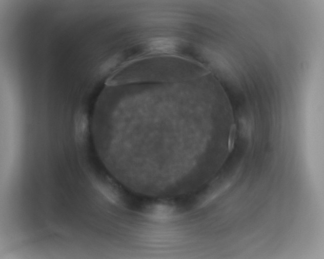 X0000113550308200909251043