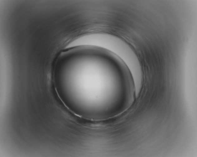 X0000113550309200909251043