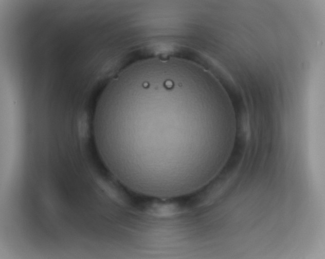 X0000113550311200909251043