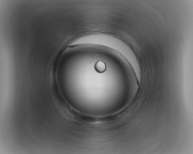 X0000113550312200909251043