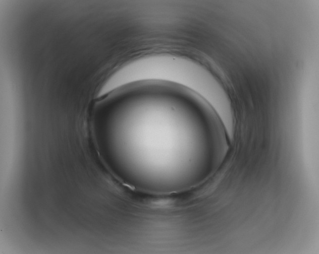 X0000113550313200909251043