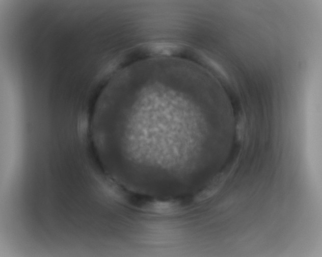 X0000113550314200909251043