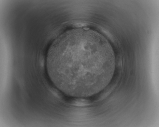 X0000113550315200909251043