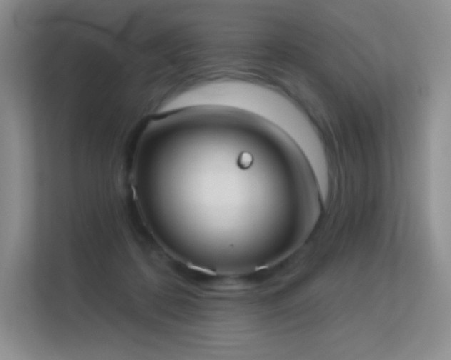 X0000113550316200909251043