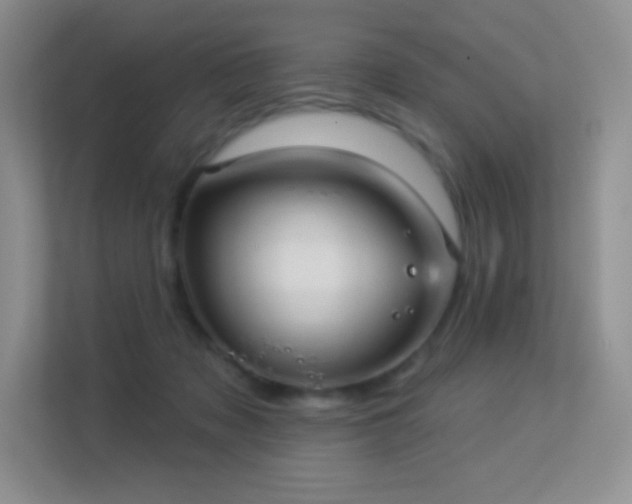 X0000113550317200909251043