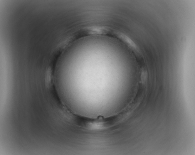 X0000113550318200909251043